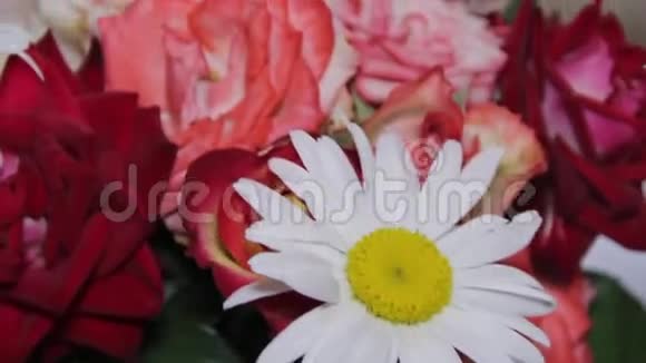 玫瑰和雏菊的花束视频的预览图