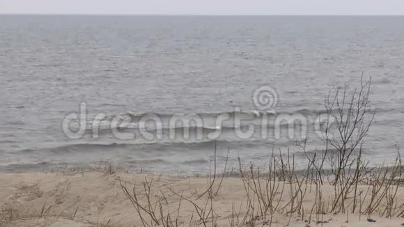 波罗的海沿岸多雨阴天视频的预览图