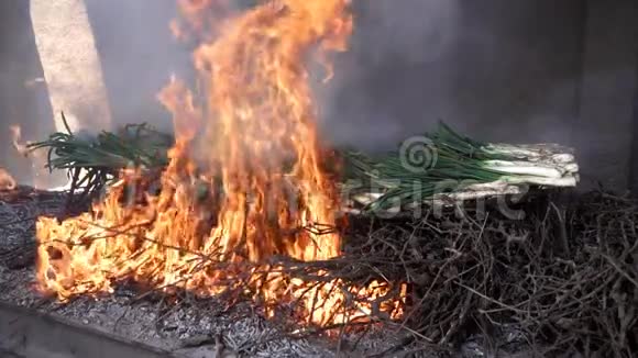 传统的卡塔兰花在火中慢动作视频的预览图