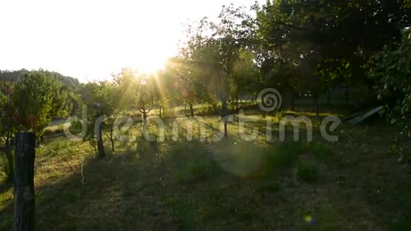 美丽的乡村景观阳光视频的预览图