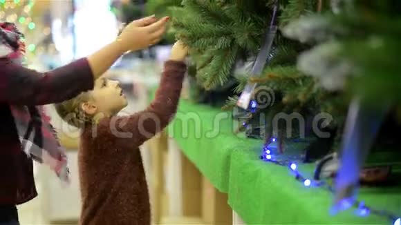 母亲和孩子在超市选择圣诞树年轻美丽的妈妈和女儿在圣诞树上视频的预览图