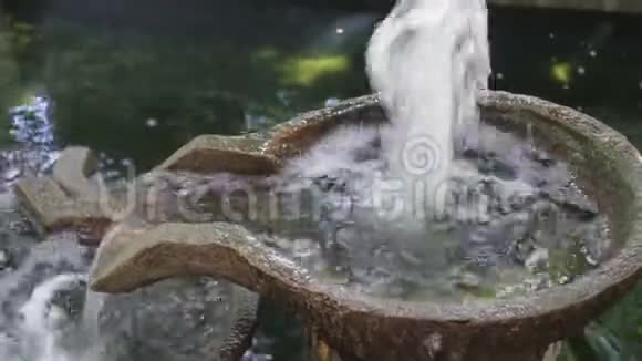 花园池塘里装饰的水滴蜡笔碗视频的预览图