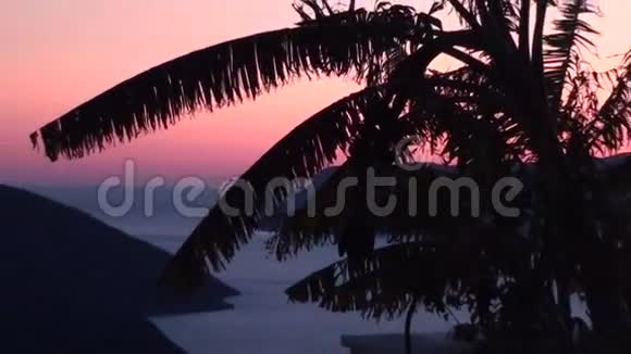 暮色中的棕榈和海湾缩小视频的预览图