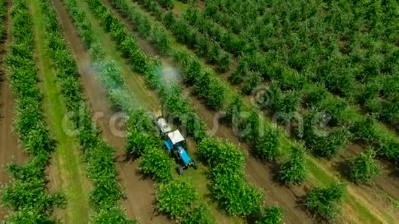苹果果园施用杀菌剂喷洒机的鸟瞰图慢动作视频的预览图