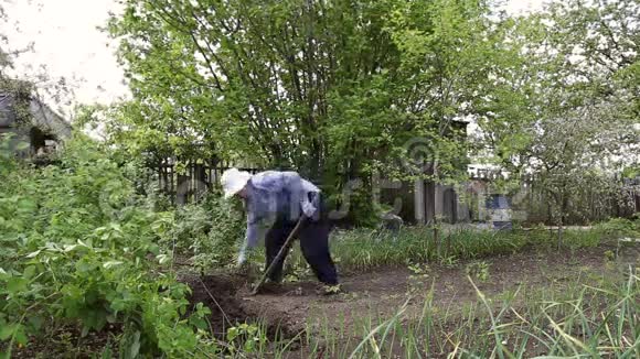 女人在花园里挖铲子视频的预览图
