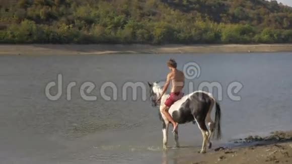 骑马在山上在湖里游泳视频的预览图