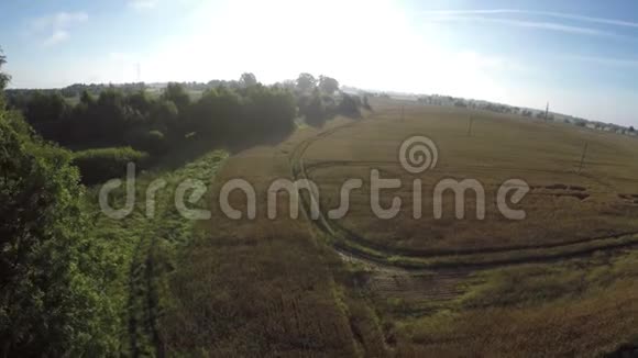 阳光明媚的早晨无人机在夏末麦田的空中视野视频的预览图