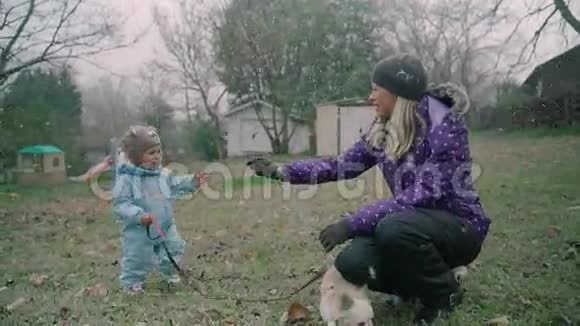 年轻的母亲在公园里和儿子玩小狗吉娃娃和雪花4k美国视频的预览图
