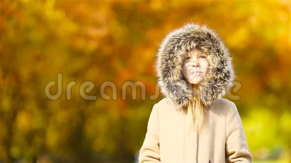 秋天黄树背景的可爱小女孩的肖像视频的预览图