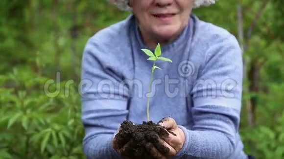 女人拿着一棵带泥土的树苗视频的预览图