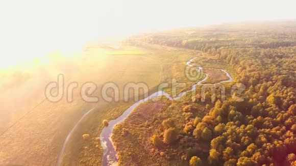 空中观景无人机飞行美丽的河流分支绿色的木材视频的预览图