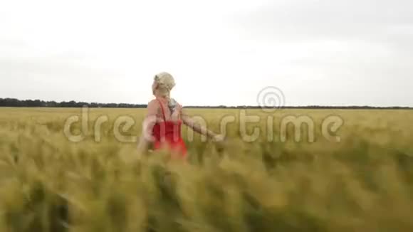 穿着红色裙子的金发女人带着小麦在田野里奔跑视频的预览图