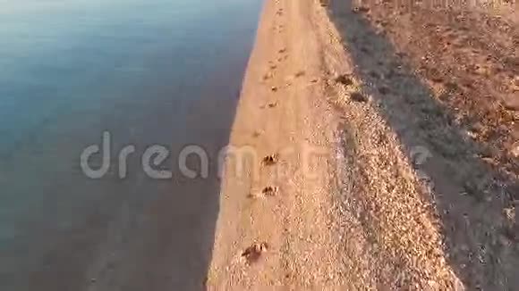 沙滩无人机镜头上的海浪视频的预览图