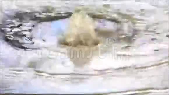 水波在混凝土上气泡视频的预览图