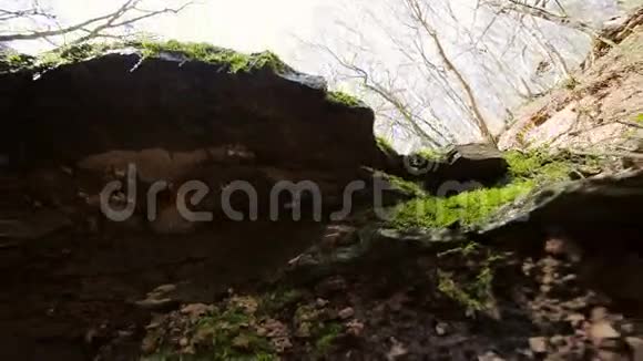 秋林岩上的水倒影视频的预览图