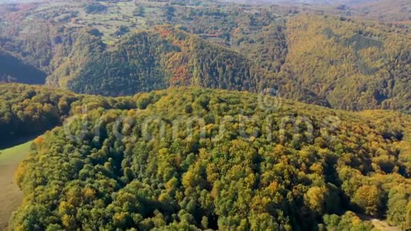 空中4k无人机秋季景观视频山区和森林视频的预览图