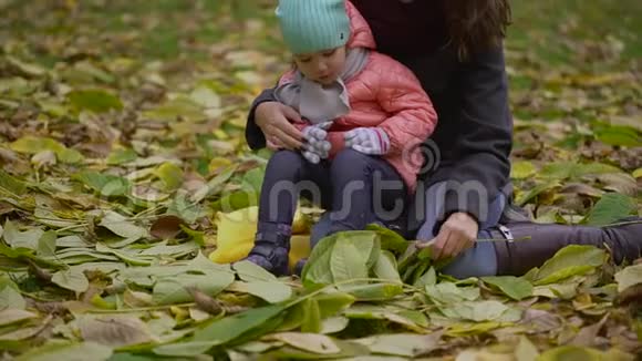 女儿和母亲在公园里收集秋叶秋天当黄叶围绕着年轻美丽的妈妈视频的预览图