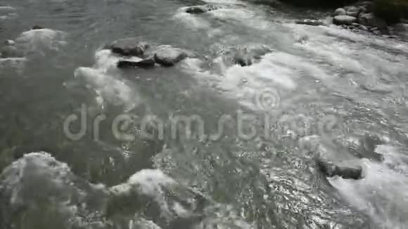 帕塞尔河水流运动视频的预览图