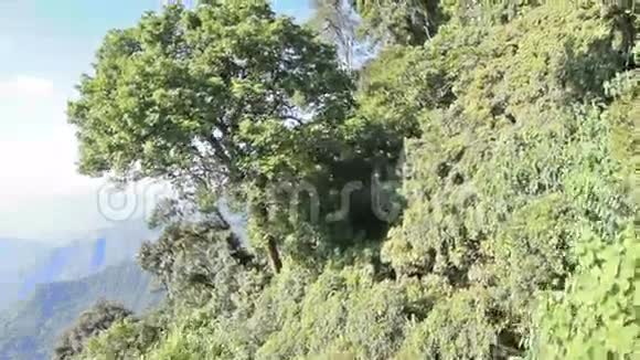 喜马拉雅山脉的空中记录视频的预览图