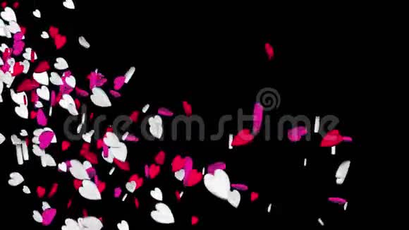 红心在黑色背景上飞舞红白糖果情人节循环动画视频的预览图