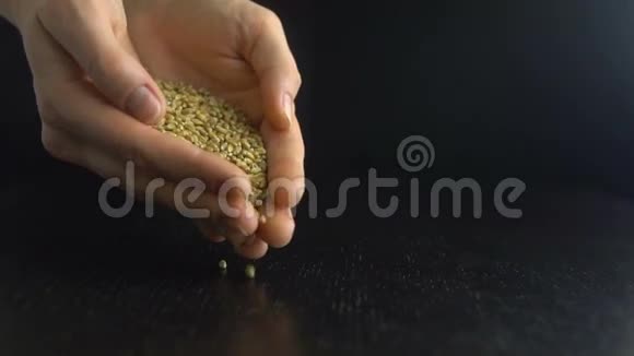 雌性手倒燕麦颗粒慢动作视频的预览图