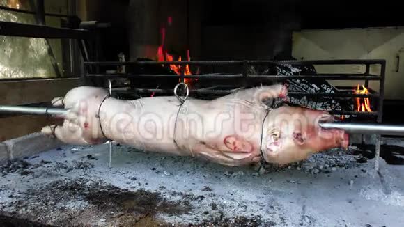 在烤肉串上烤乳猪视频的预览图