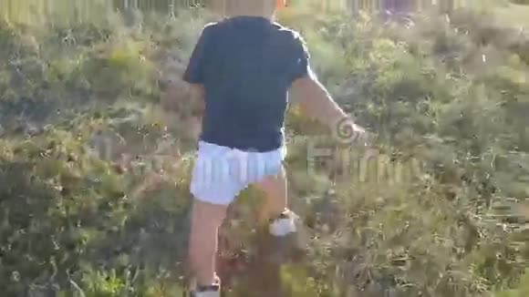 在阳光明媚的日子里小孩子在田野上给他的父亲吃青草快乐的一家人在夏天的草地上小男孩视频的预览图