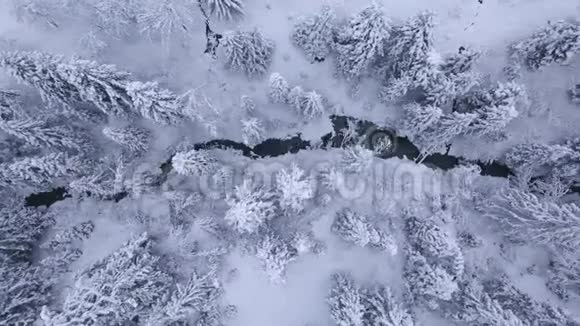 冬季山河的最高景观被树木和积雪覆盖的河岸所包围视频的预览图