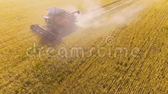 空中观景结合收割机收割小麦视频的预览图
