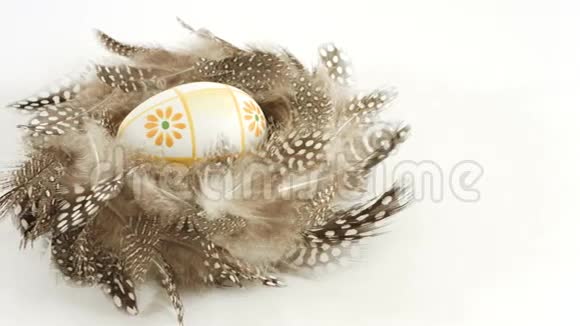 巢里的复活节彩蛋视频的预览图