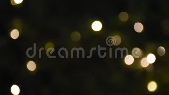 夜间花园里铅饰色彩鲜艳的运动视频的预览图