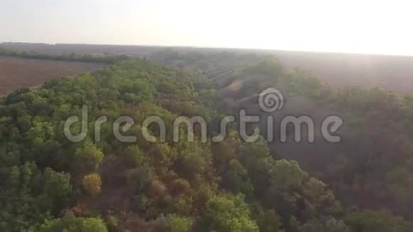 晴天低矮的树木和草的丘陵景观视频的预览图