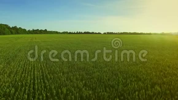 背景蓝天上的山水绿麦田实地空中视频的预览图