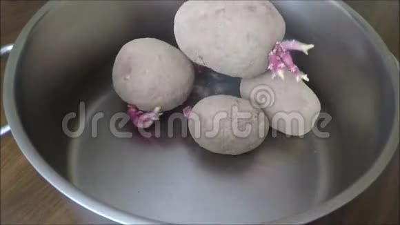 带土豆的不锈钢锅视频的预览图