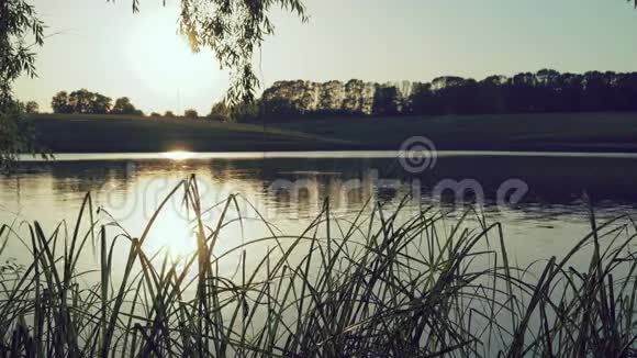公园里美丽的傍晚池塘4K视频的预览图