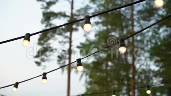 夜间或傍晚在花园内悬挂装饰户外弦灯视频的预览图