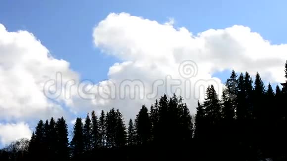 白色积云在蓝蓝的天空上移动杉树的轮廓视频的预览图