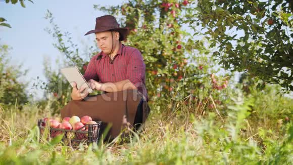 农民使用数字平板电脑在苹果花园视频的预览图
