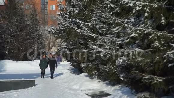 年轻夫妇在冬季城市公园散步视频的预览图