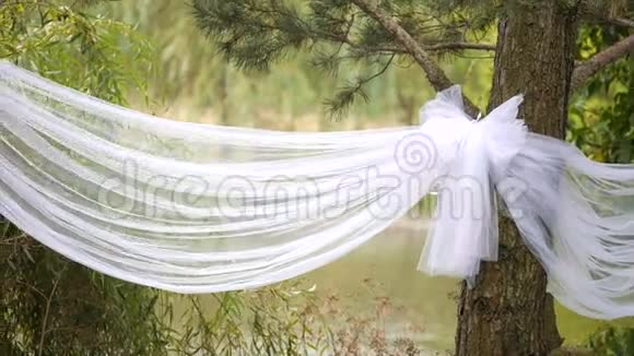 树上的婚礼装饰品视频的预览图