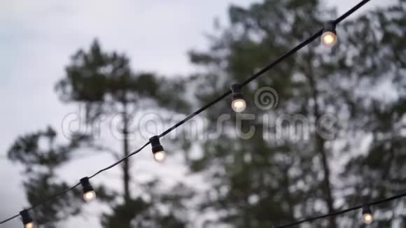 夜间或傍晚在花园内悬挂装饰户外弦灯视频的预览图