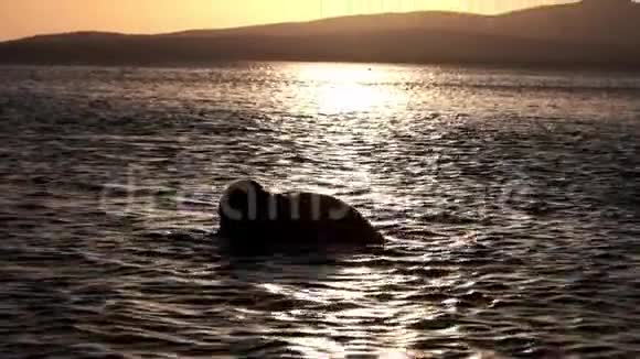 女孩在水里溅东西在海上享受休息假期和自由与朋友一起探索视频的预览图