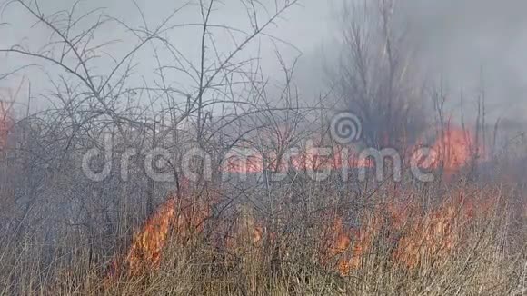 在农村居民点旁边烧干草大火攻占了一座房子视频的预览图
