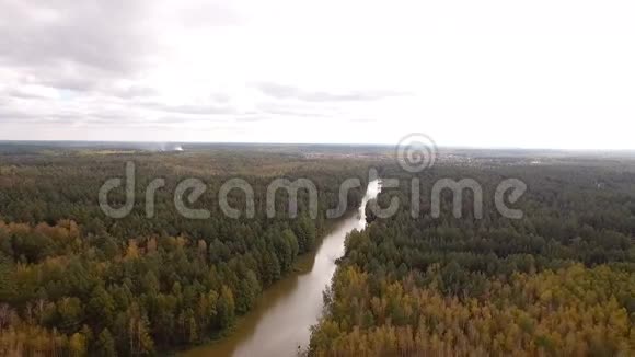 沿着森林流动的河流的空中摄影视频的预览图