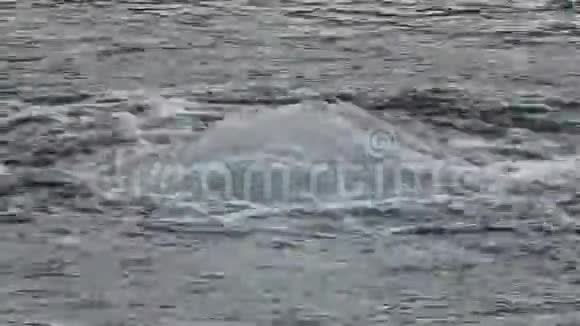 智利河边的水泡视频的预览图