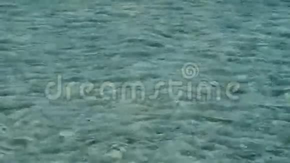 红海背景水背景水的绿松石颜色视频的预览图