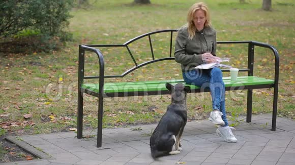 公园里的金发女人喂一只流浪的杂种狗视频的预览图