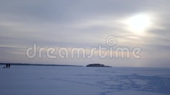 渔民们带着一条4k的雪橇上的鱼回家视频的预览图