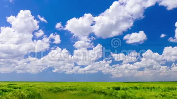 绿色的麦田蓝天白云视频的预览图