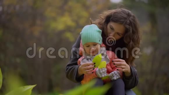 女儿和母亲在公园里收集秋叶秋天当黄叶围绕着年轻美丽的妈妈视频的预览图